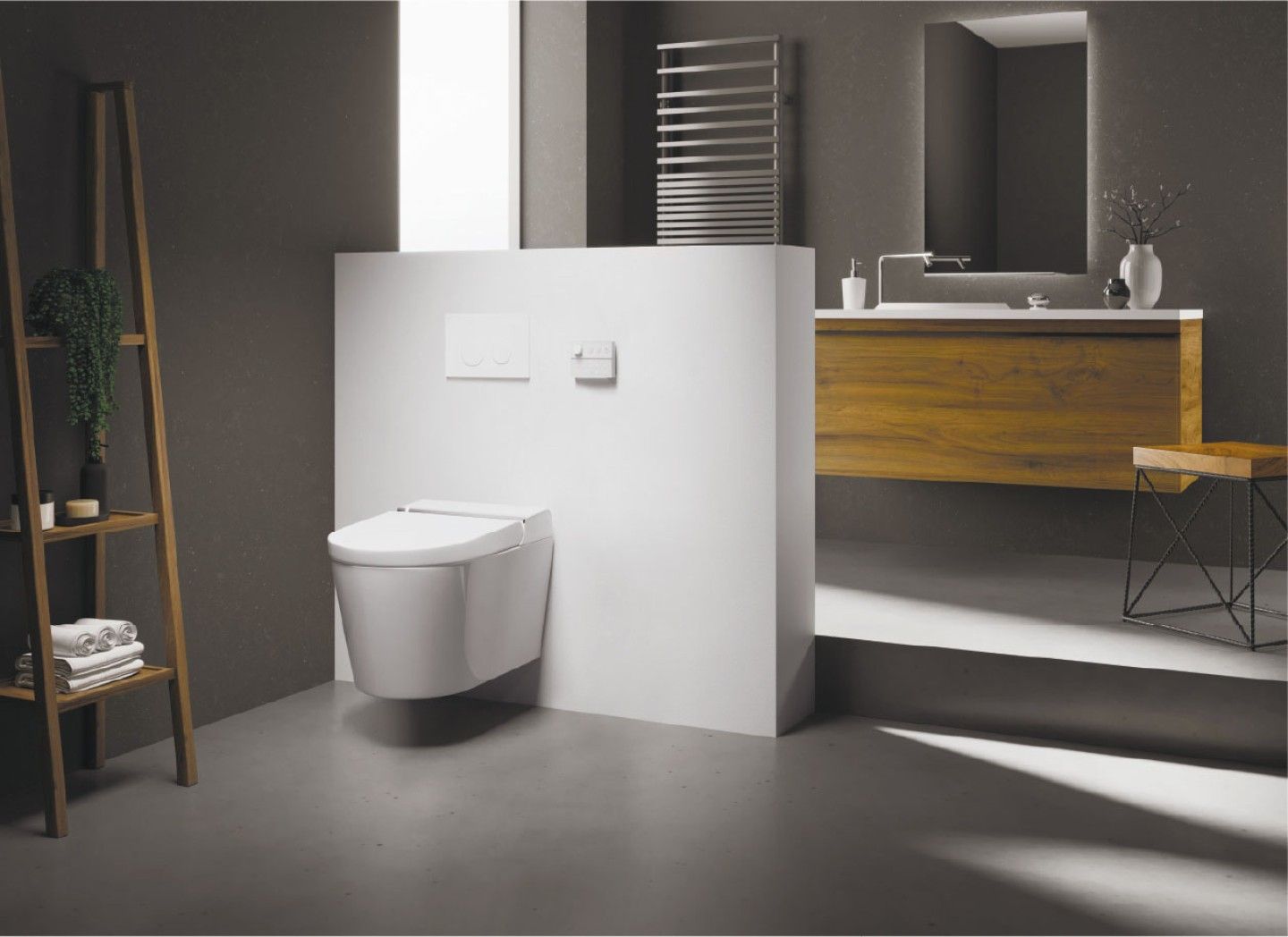 Descubra as vantagens de uma sanita Inteligente