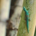 SUNPAD Produtor Solar AQS Instantâneas 150 lts SUNPAD Produtor Solar AQS Instantâneas 150 lts